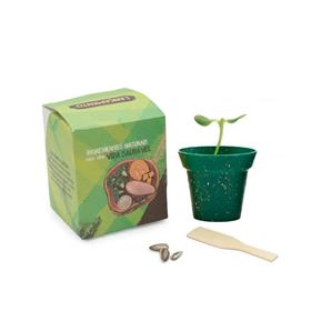 Kit Cultivo Ecobox com Vasinho em Fibra de Coco - VP2